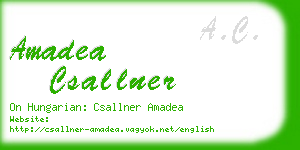 amadea csallner business card